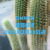 【DMMFX】運用収支（2021年3月28日週）