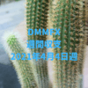 【DMMFX】運用収支（2021年4月4日週）