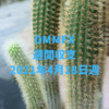 【DMMFX】運用収支（2021年4月18日週）